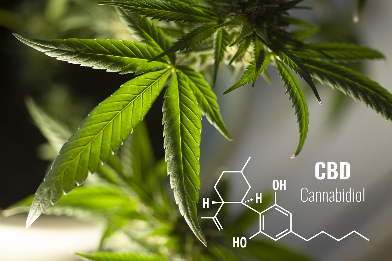 CBD 101: Using Cannabis Without the High